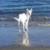 sterlingfoxphotos - @sterlingfoxphotos - TikTok