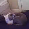 Sterling Garrett - @sterling.garrett0 - TikTok