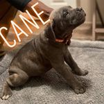 Sterling Long - @long_sterling - Instagram