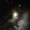Greyson M. - @marshall.mouse.sterling - TikTok