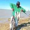 marshallsterling8 - @marshallsterling8 - TikTok
