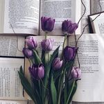 🌼 - @sterling_rose_ - Instagram