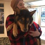 Sterling Schaefer - @boxcar372 - Instagram
