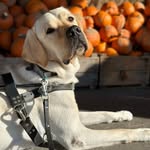 Sterling Stephens - @stephens.sterling - Instagram