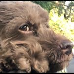Sterling Archer - @sterling.archer.stokes - Instagram