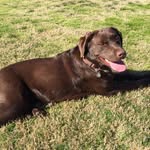 Sterling Young - @74youngster - Instagram
