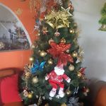 Stevan Gomez - @nancigomez645 - Instagram