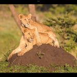 Steve Abbott - @steveabbottphotography - Instagram