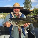 Steve Abel - @steveabelflyfish - Instagram