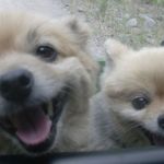 Steve Abeyta - @abeyta.steve - Instagram