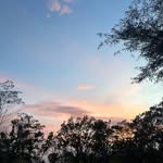 Steve Addison Effendy - @steveaddison__ - Instagram