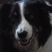 Steve Ainslie - Facebook