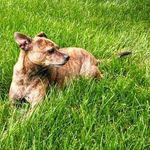 Steve Ainslie - @inside_sales_dude - Instagram