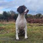 Steve Aitken - @aitken.steve - Instagram