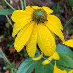 Steve Aitken - @steveaitken0 - Instagram
