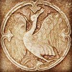 Steve Aitken - @sidestokesteve - Instagram