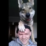 Steve Aitken - @steveweege - Instagram
