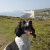 Steve Aitken - @steve.aitken - TikTok