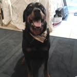 Steven Albritton - @qrttero - Instagram