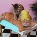Steve Alderman - Facebook