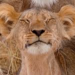 Steve Alkire - @alkire1350 - Instagram