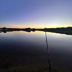 Stevie Alkire - Facebook