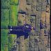 Stephen Allender - Facebook