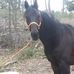 Steve Allender - Facebook