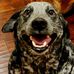 Steven Almquist - Facebook