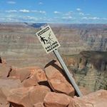 Steve Altman - @stevealtman - Instagram