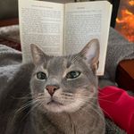 Stevie M. Alverson - @smallverson - Instagram