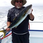 Steve Amaro - @steveamaro4 - Instagram