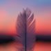 Steven Anaya - Facebook