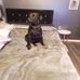 Steven Anderton - Facebook
