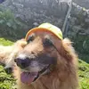 stevensangerman - @stevensangerman - TikTok