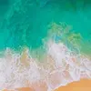 steveangulo773 - @steveangulo773 - TikTok