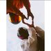 Steve Colpa Antunez - Facebook