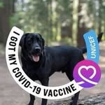 Steve Appleton - @steveappleton3 - Instagram