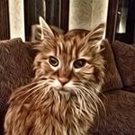 Steve Apter - @steveapter - Instagram