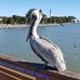 Steve Arbogast - Facebook