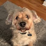 Archie - @archie.steve_ - Instagram