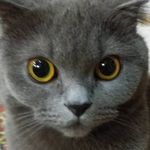 Archie Balt - @steve_archie_balt - Instagram