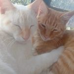 steve & archie - @stevendarchie - Instagram