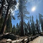 Steve Arel - @steve040480 - Instagram
