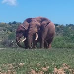 Steven - @steven.arends71 - Instagram