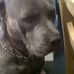 Steven Argo - Facebook