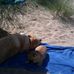 Steve Arkell - Facebook