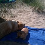 Steve Arkell - @steve.arkell.1 - Instagram