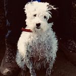 Steve Arkell - @stevearkell - Instagram