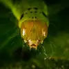 armandsteve663 - @armandsteve663 - TikTok